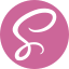 Saas icon